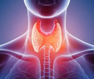 Endocrinologist